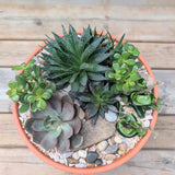Bespoke Succulent Planter