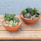 Bespoke Succulent Planter