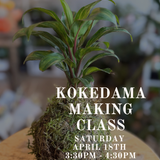 Kokedama-Making Class: Saturday April 18th 3:30PM - 4:30PM