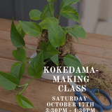 Kokedama-Making Class: Saturday October 17th 3:30PM - 4:30PM