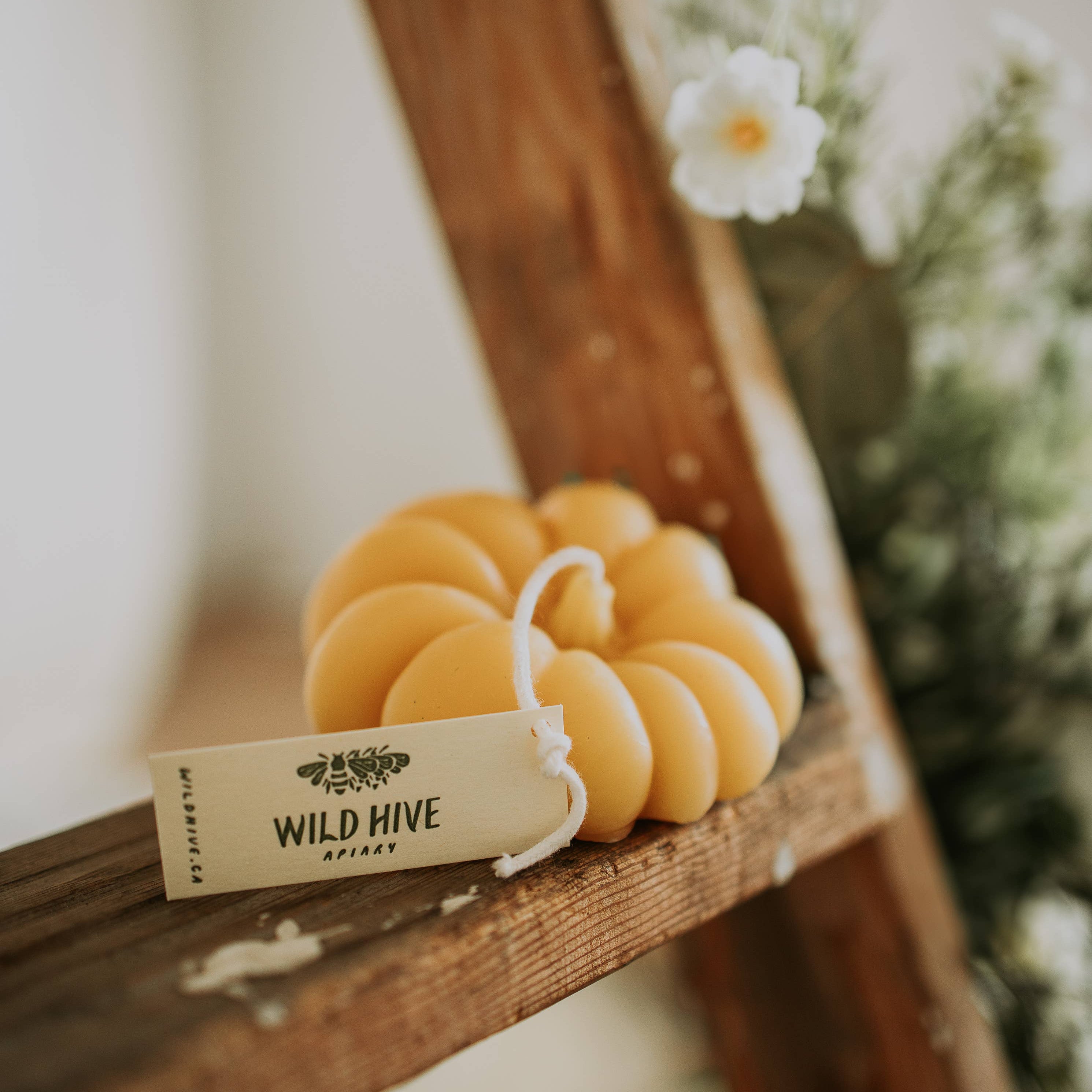 Harvest Pumpkin Candles