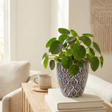 Amara Blue/White Pot