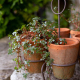 WIRE STAND WITH 6 REDSTONE POTS