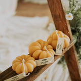 Harvest Pumpkin Candles