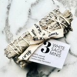 Mini White Sage Bundle