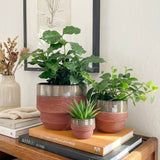 Freya Terracotta/Brown Pot