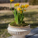 Small Antique Finish Ceramic Urn