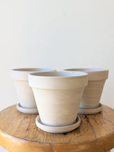 Load image into Gallery viewer, Natural Stone Apollo Pot and Saucer (Small)