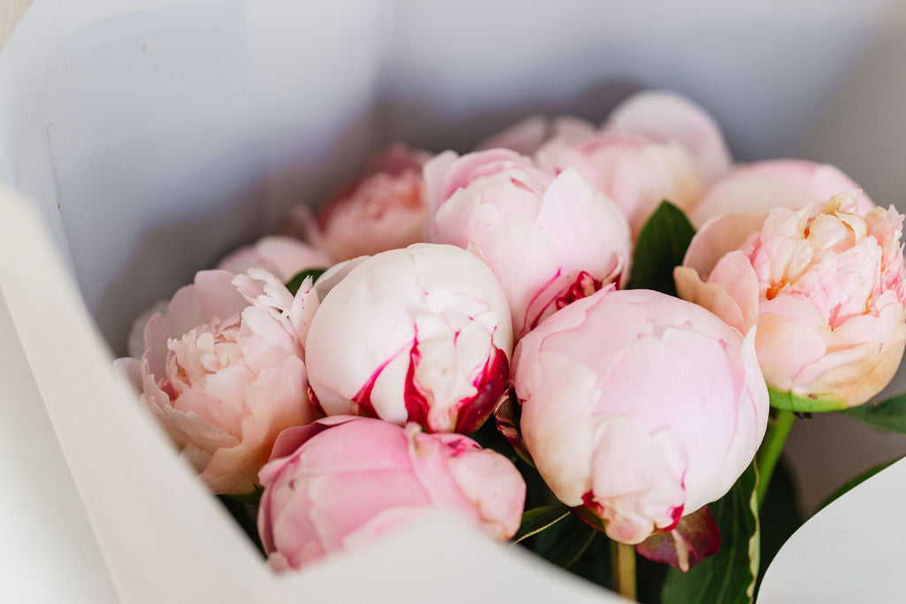 Peony Dream Bouquet