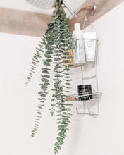 Load image into Gallery viewer, eucalyptus shower steamer